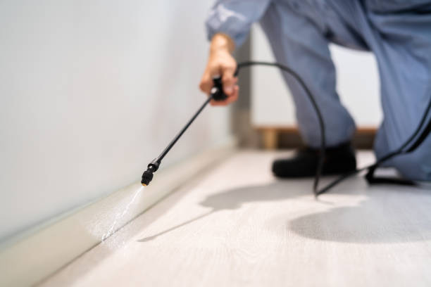 Licensed Pest Control service in Bard College, NY - Show Me Pest Control