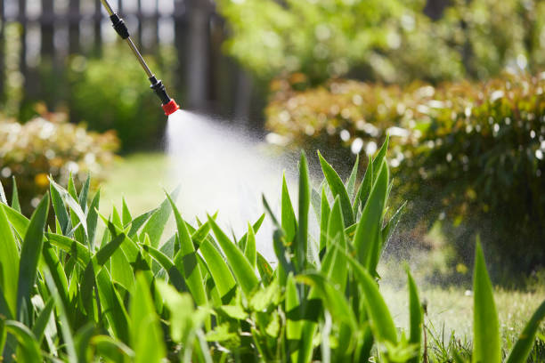24/7 Emergency Mosquito Control experts in Bard College, NY