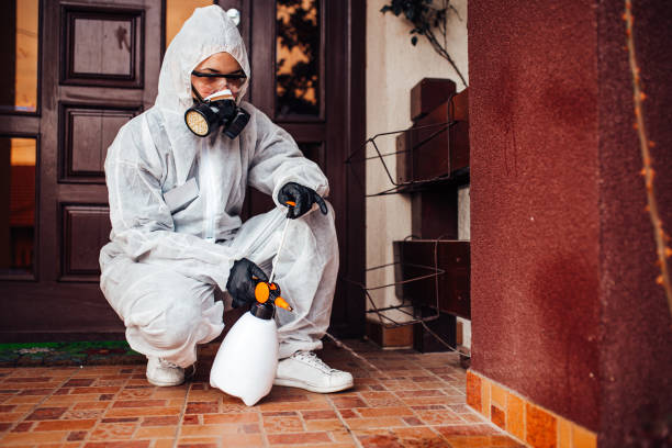 Reliable Mosquito Control contractor in Bard College, NY by Show Me Pest Control